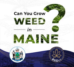 RXD Co Website Blog Post Poster MAINE