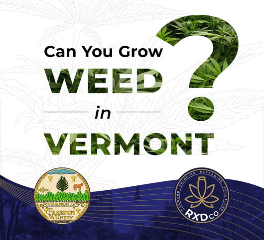 RXD Co Website Blog Post Poster VERMONT